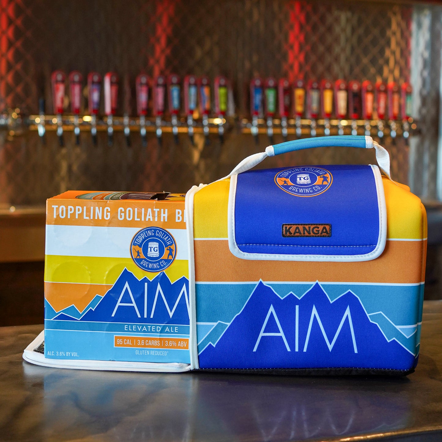 AIM Bundle