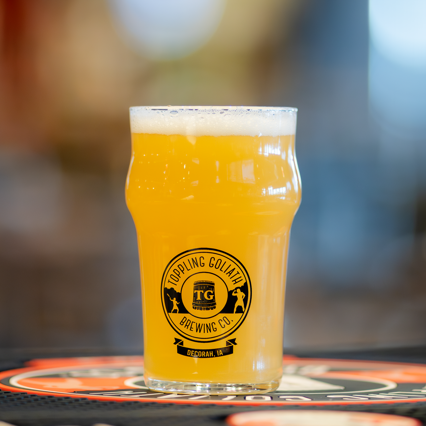 TG Nonic Glass-10oz.