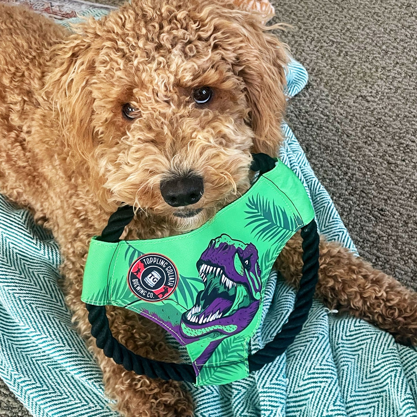 Frisbee Rope Toy