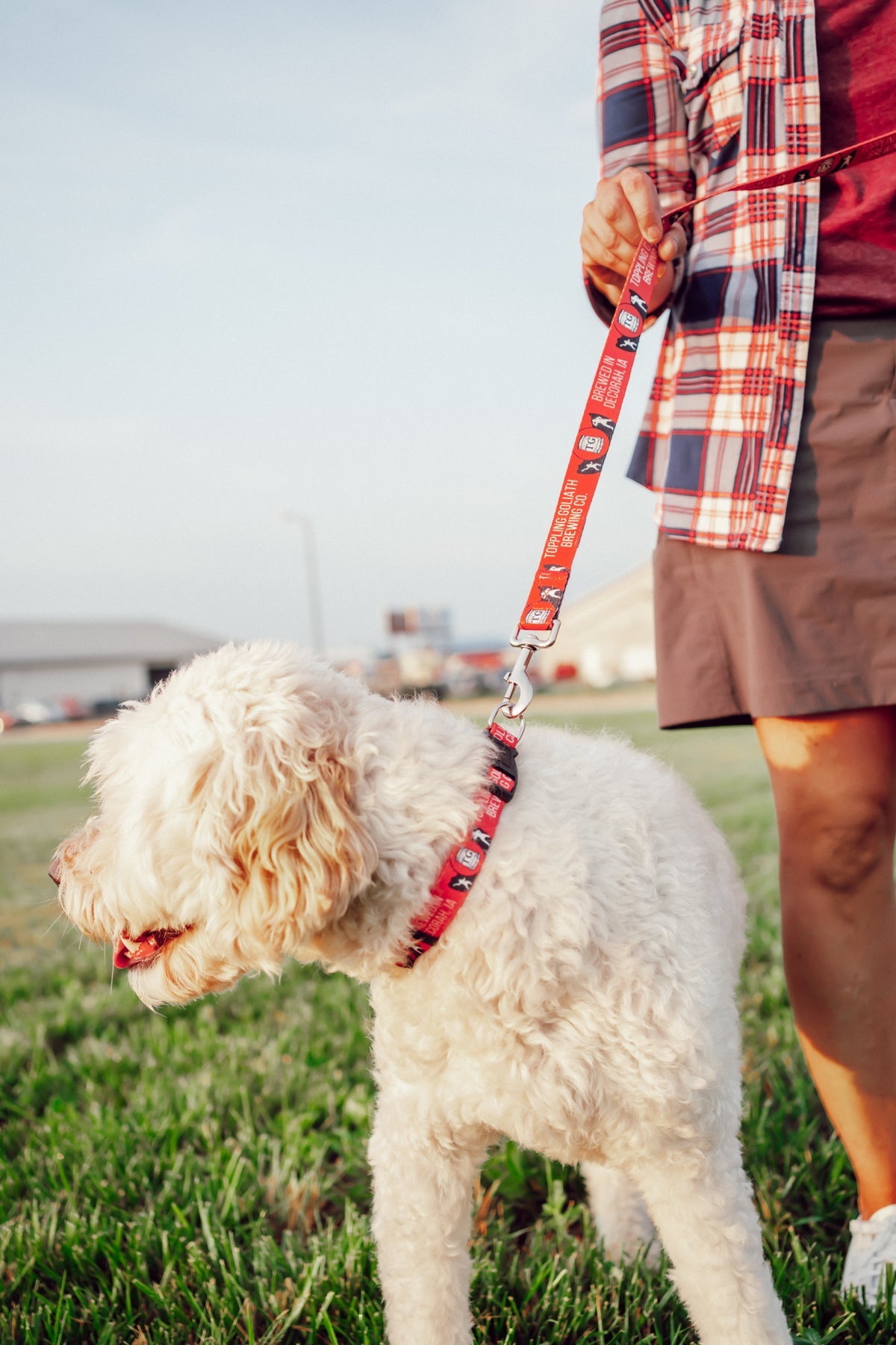 TG Logo Pet Collar