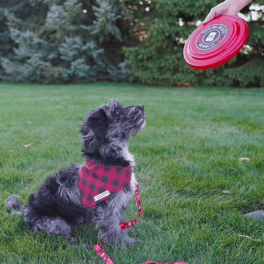 TG Frisbee-Red